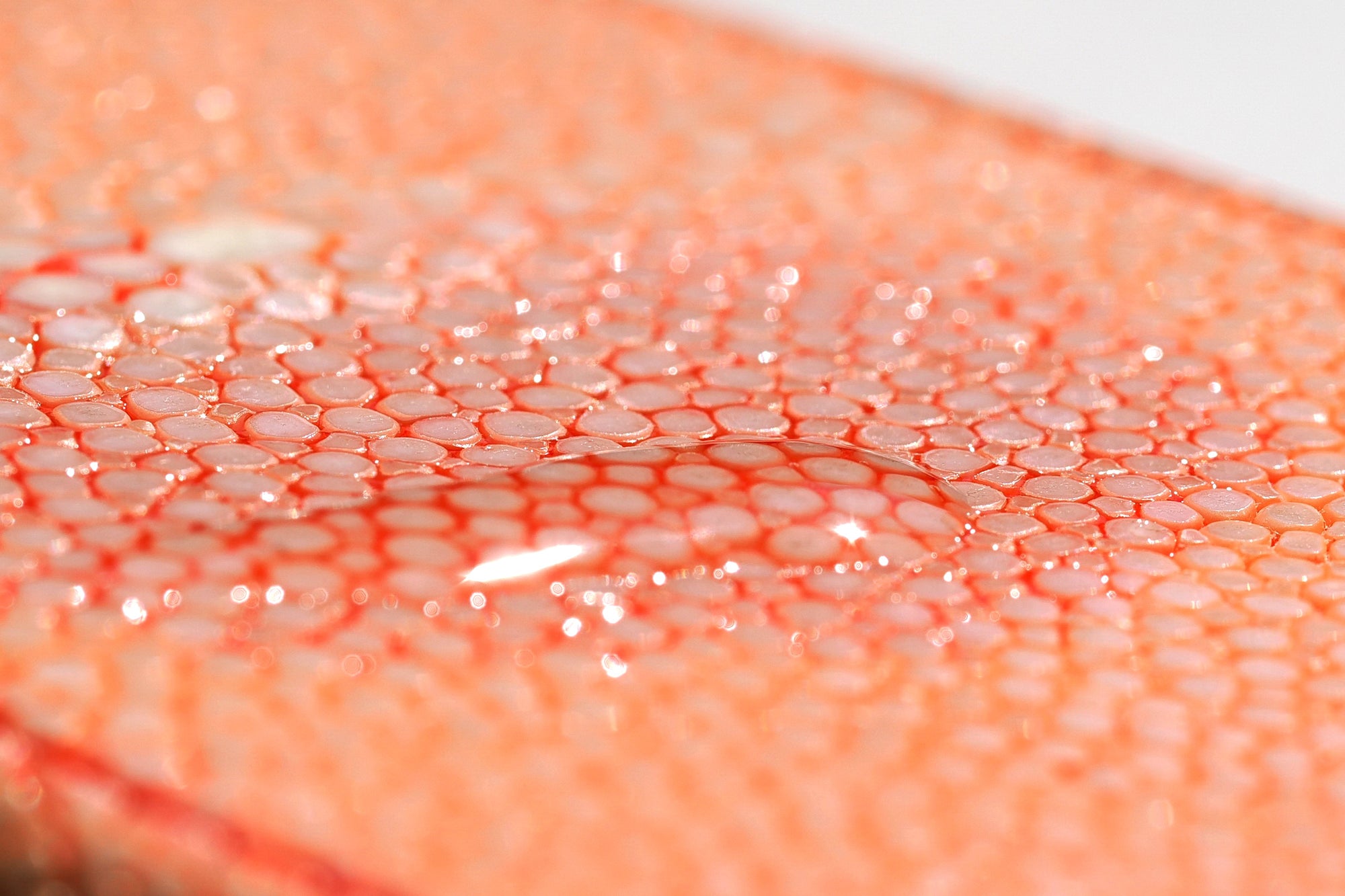 趣味文CLUB|雑誌「趣味の文具箱」公式オンラインショップ