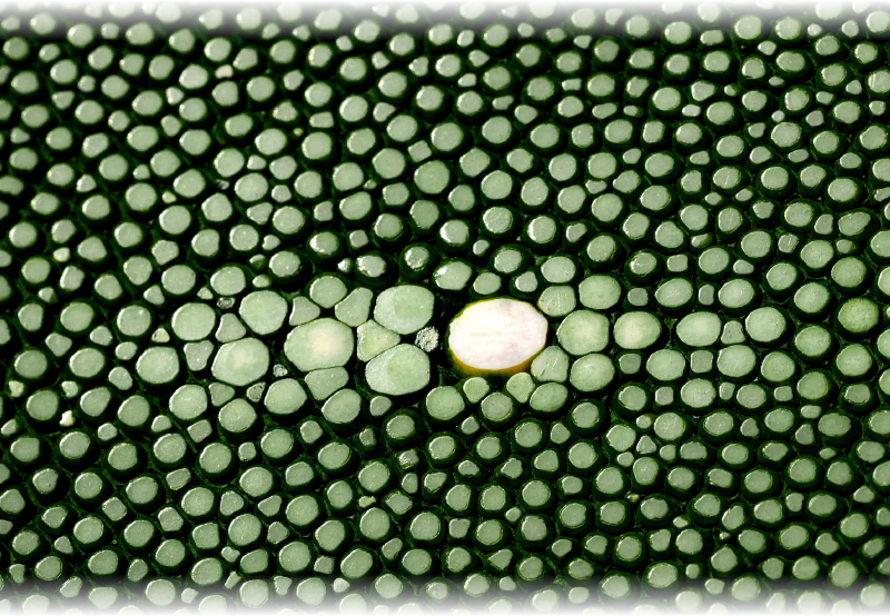 趣味文CLUB|雑誌「趣味の文具箱」公式オンラインショップ