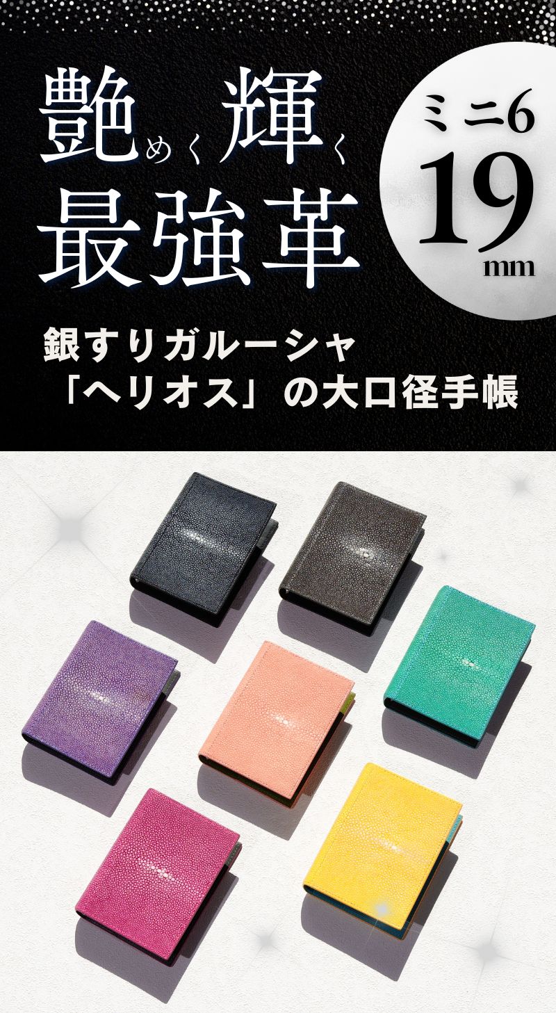 システム手帳 ヘリオス ミニ6 φ19mm（趣味文オリジナル）
