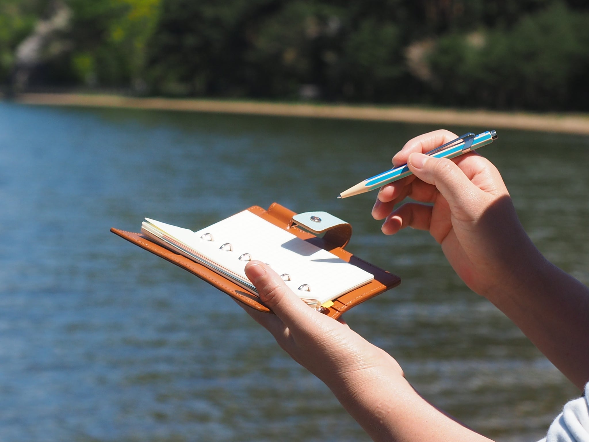 ミニ6ナロー「ネオフィナード」を連れてアクティブに外あそび！ – 趣味