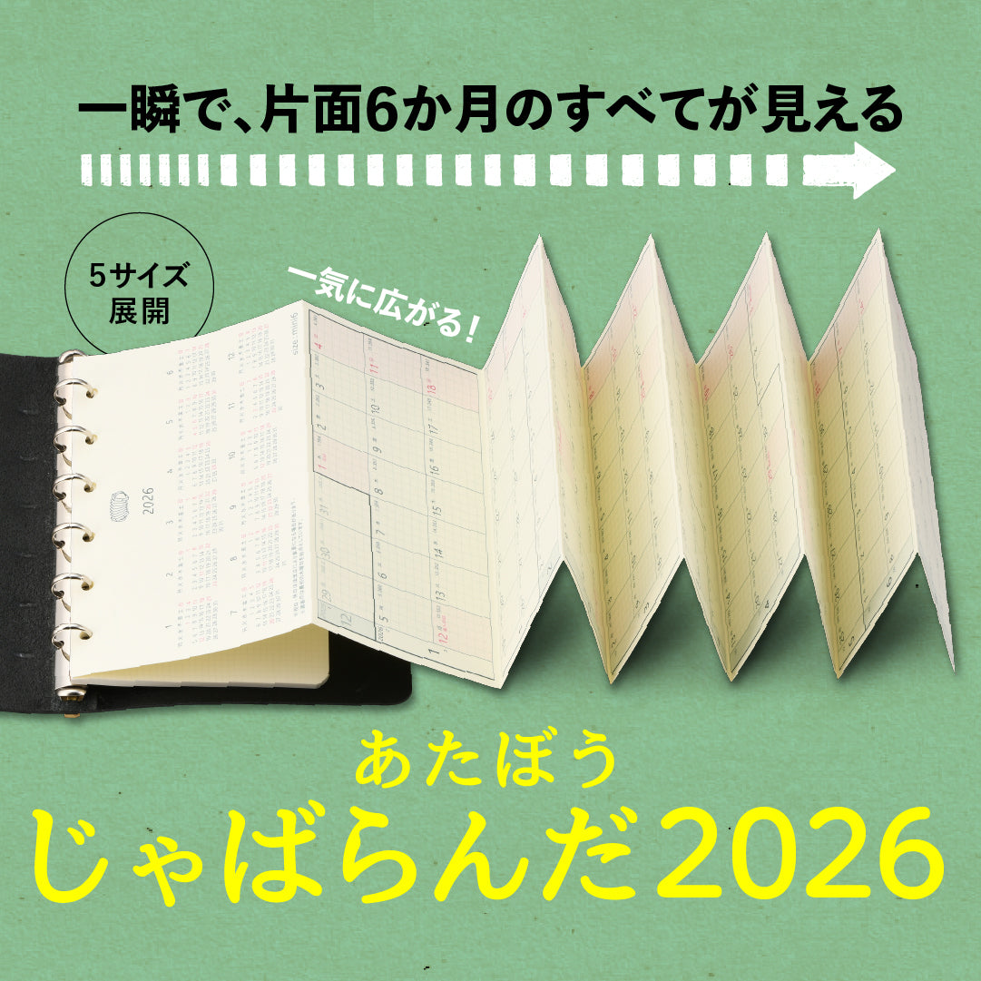 Steve創刊号 Part 11 - Japanese CDs