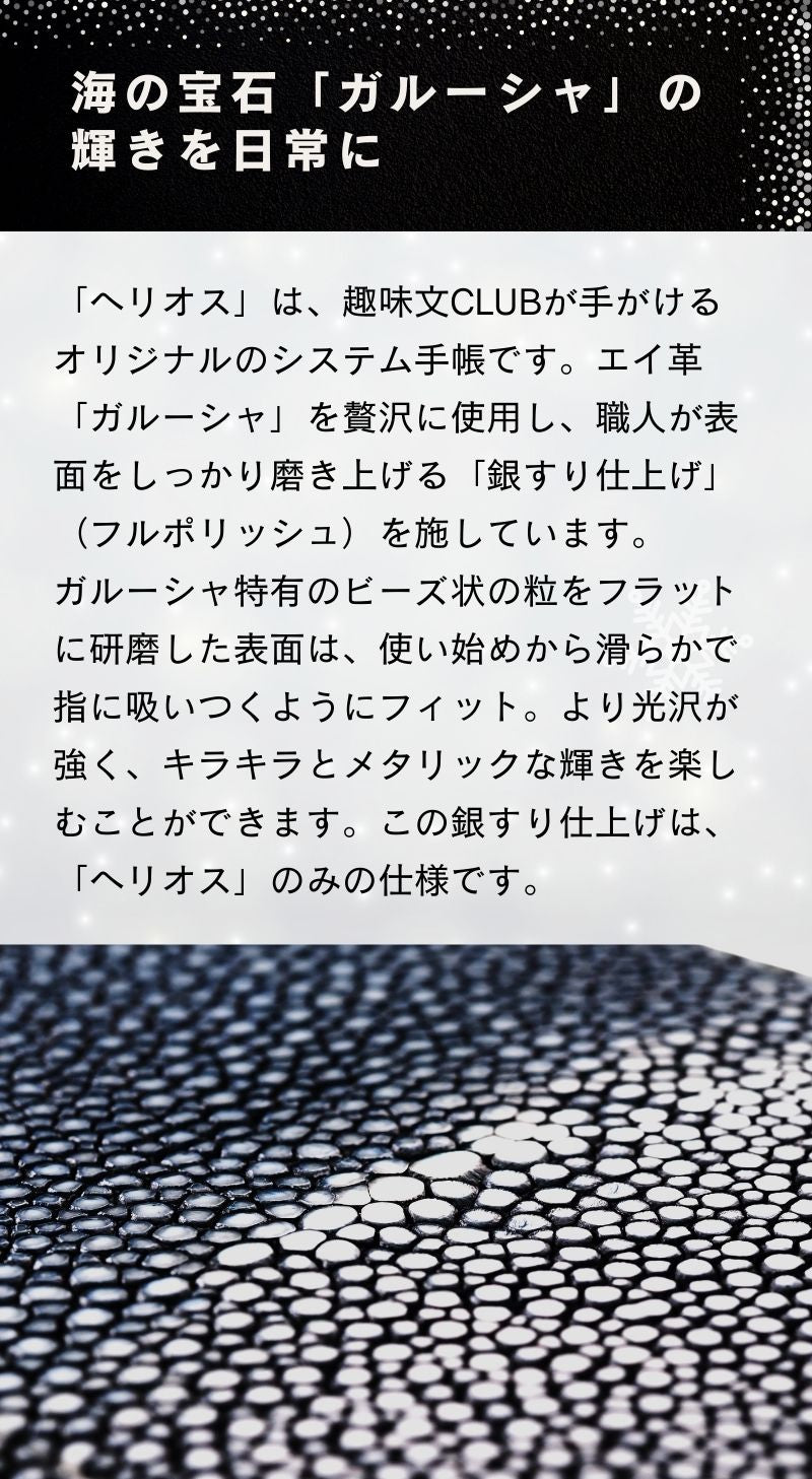 システム手帳 ヘリオス ミニ6 φ19mm（趣味文オリジナル）