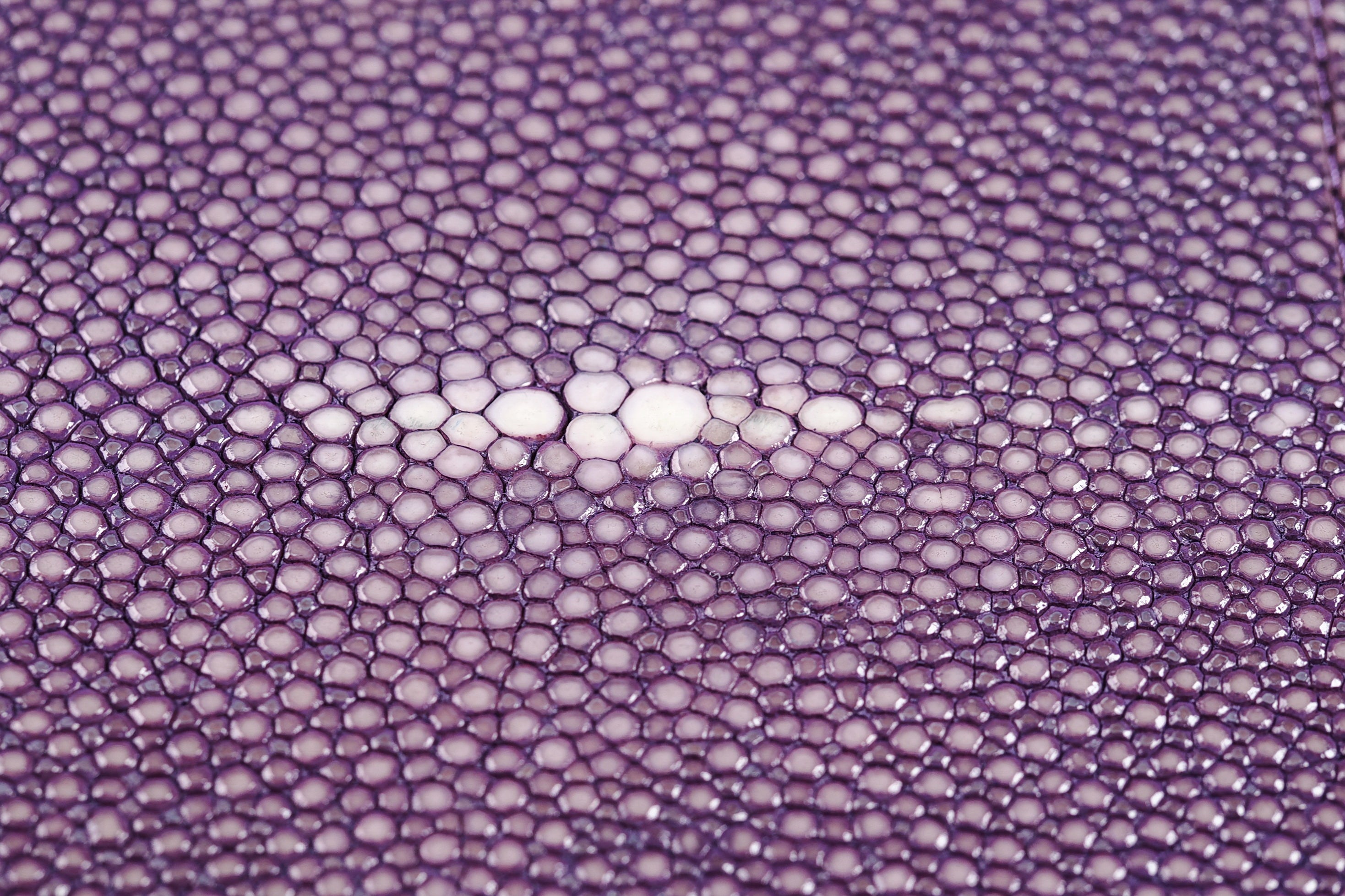 システム手帳 スパークラー2 バイブル φ15mm ラベンダー（趣味文オリジナル）