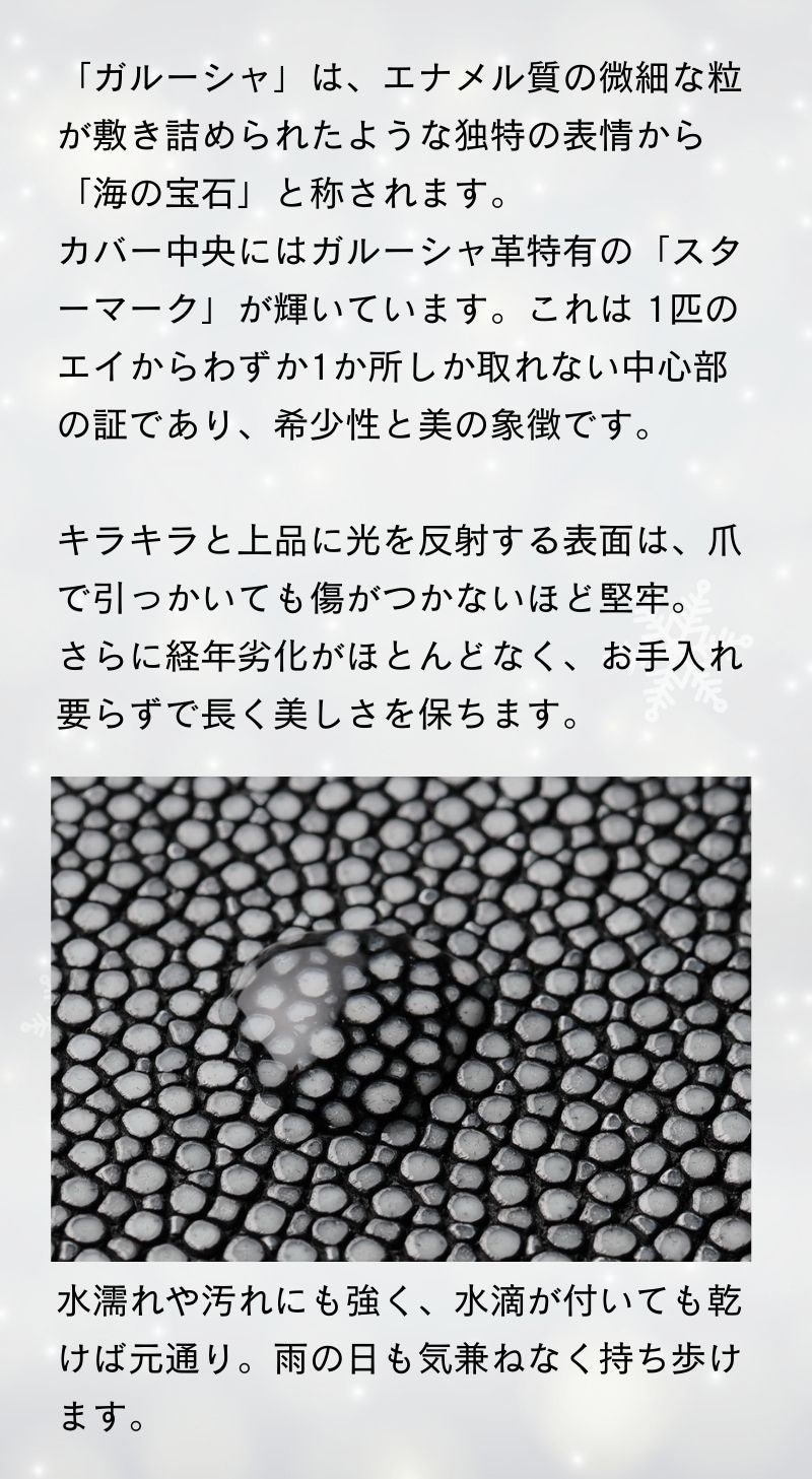 システム手帳 ヘリオス ミニ6 φ19mm（趣味文オリジナル）