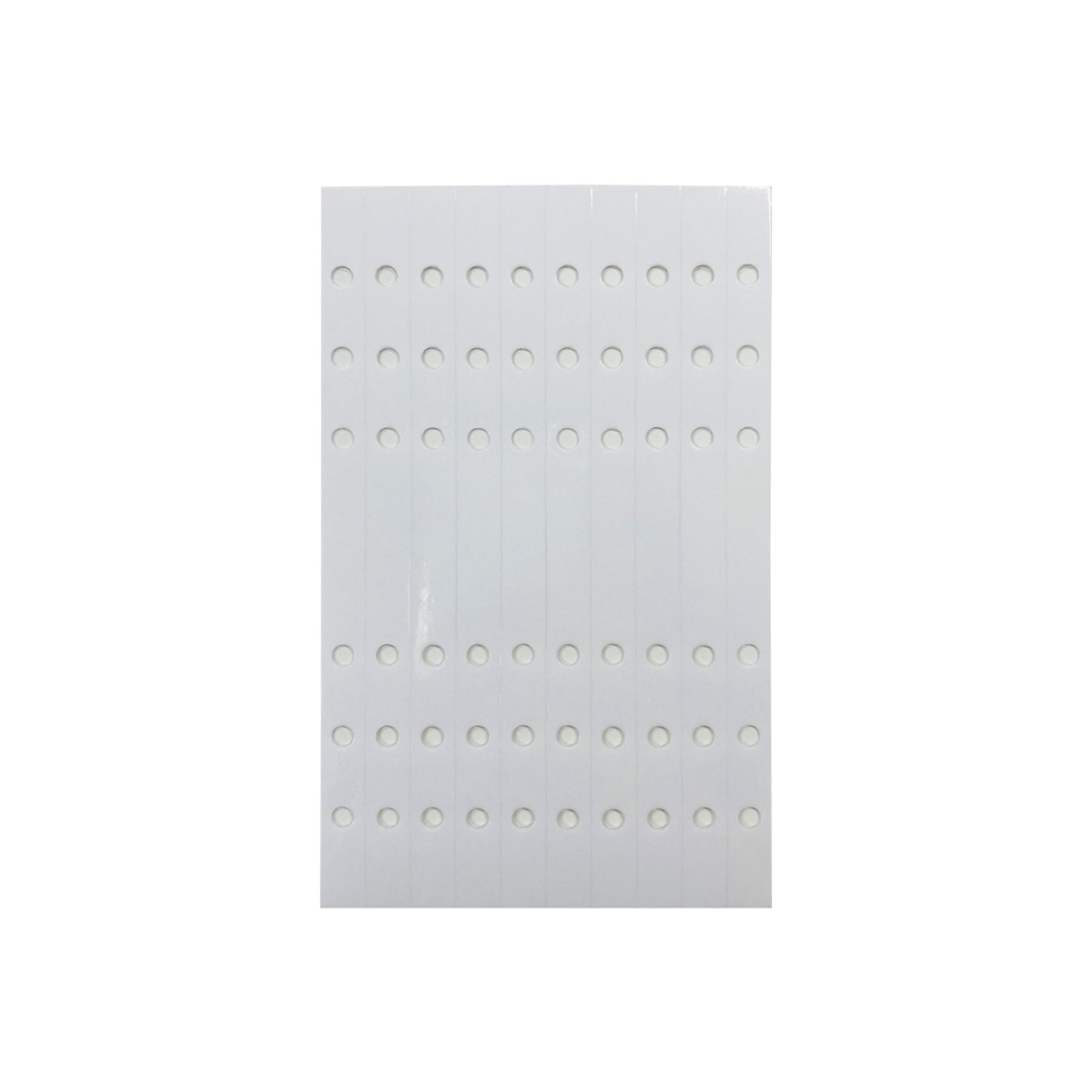 補強シール バイブル