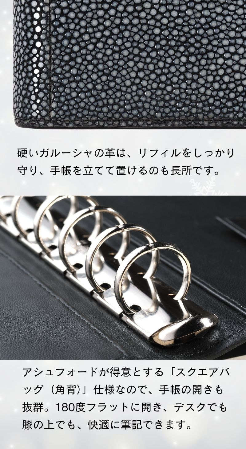 システム手帳 ヘリオス ミニ6 φ19mm（趣味文オリジナル）