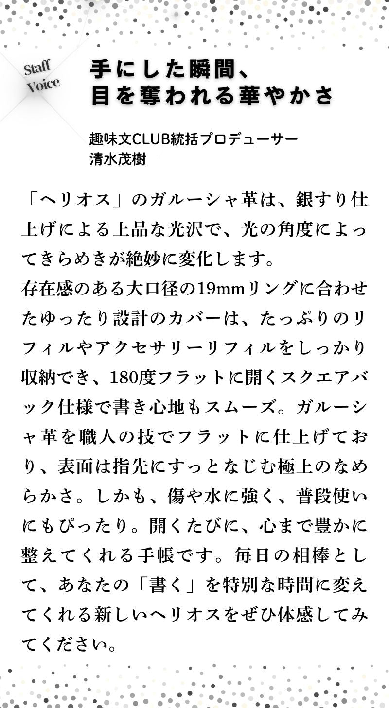 システム手帳 ヘリオス ミニ6 φ19mm（趣味文オリジナル）
