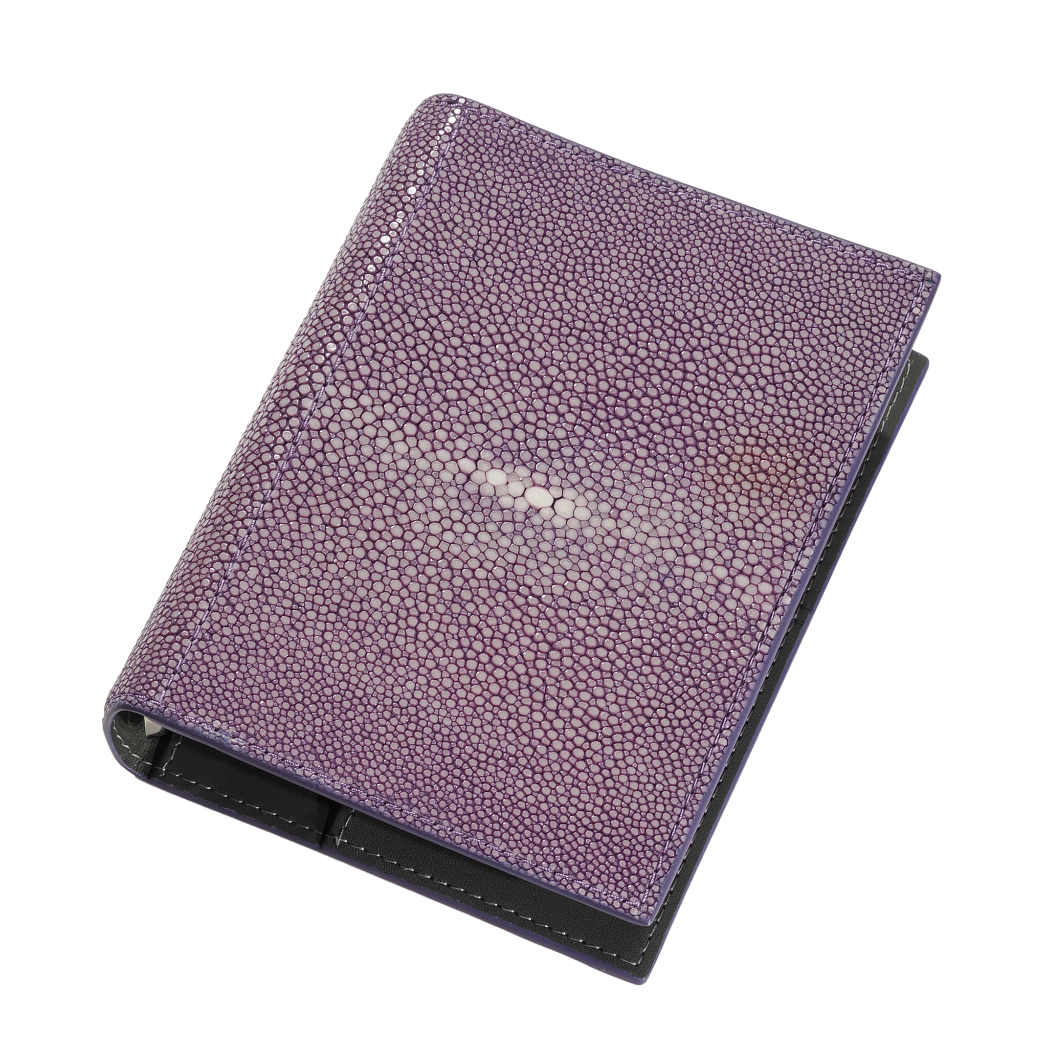 システム手帳 ヘリオス ミニ6 φ19mm（趣味文オリジナル）