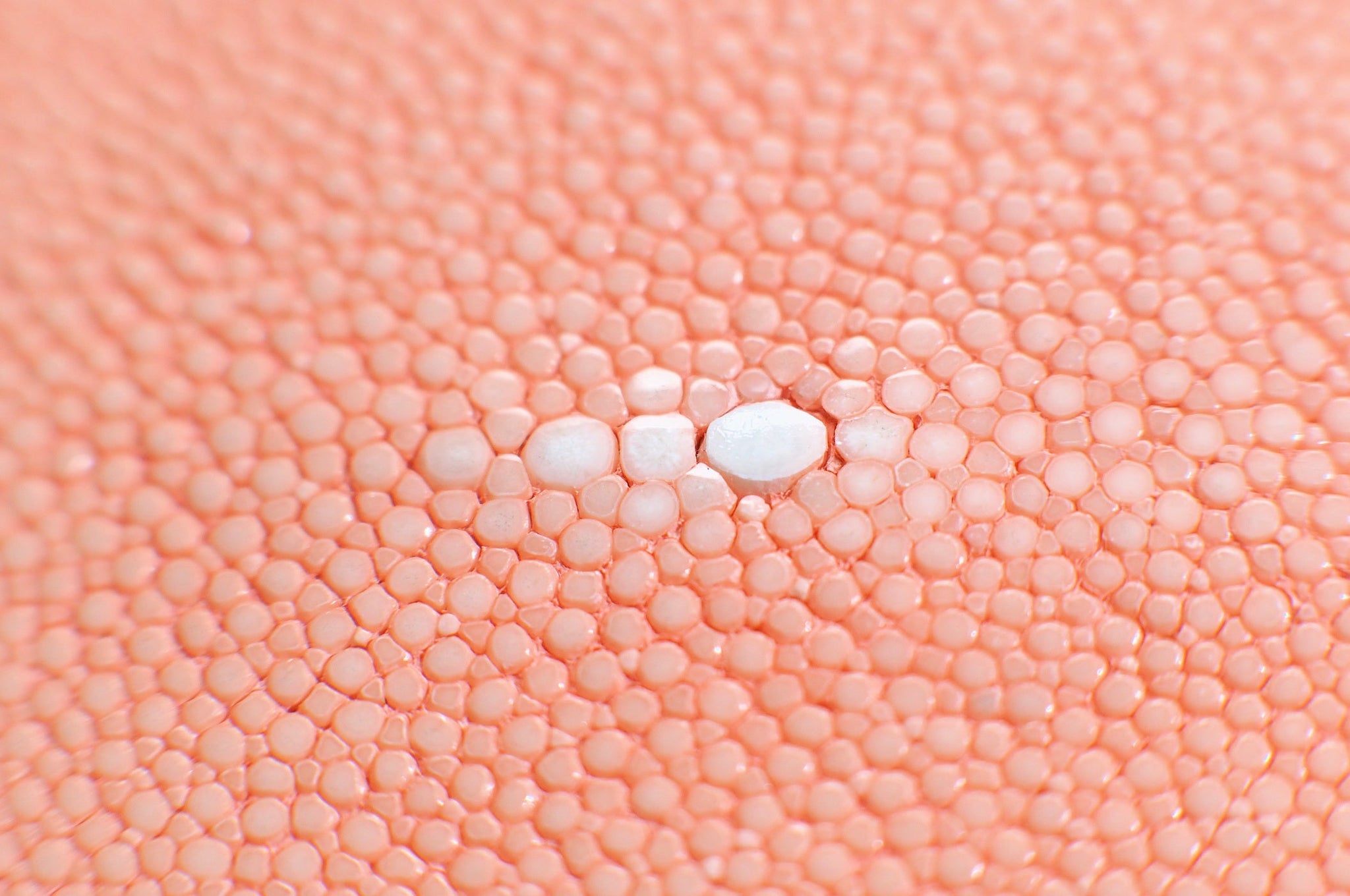 システム手帳 ヘリオス コーラルピンク M5 8mm（趣味文オリジナル