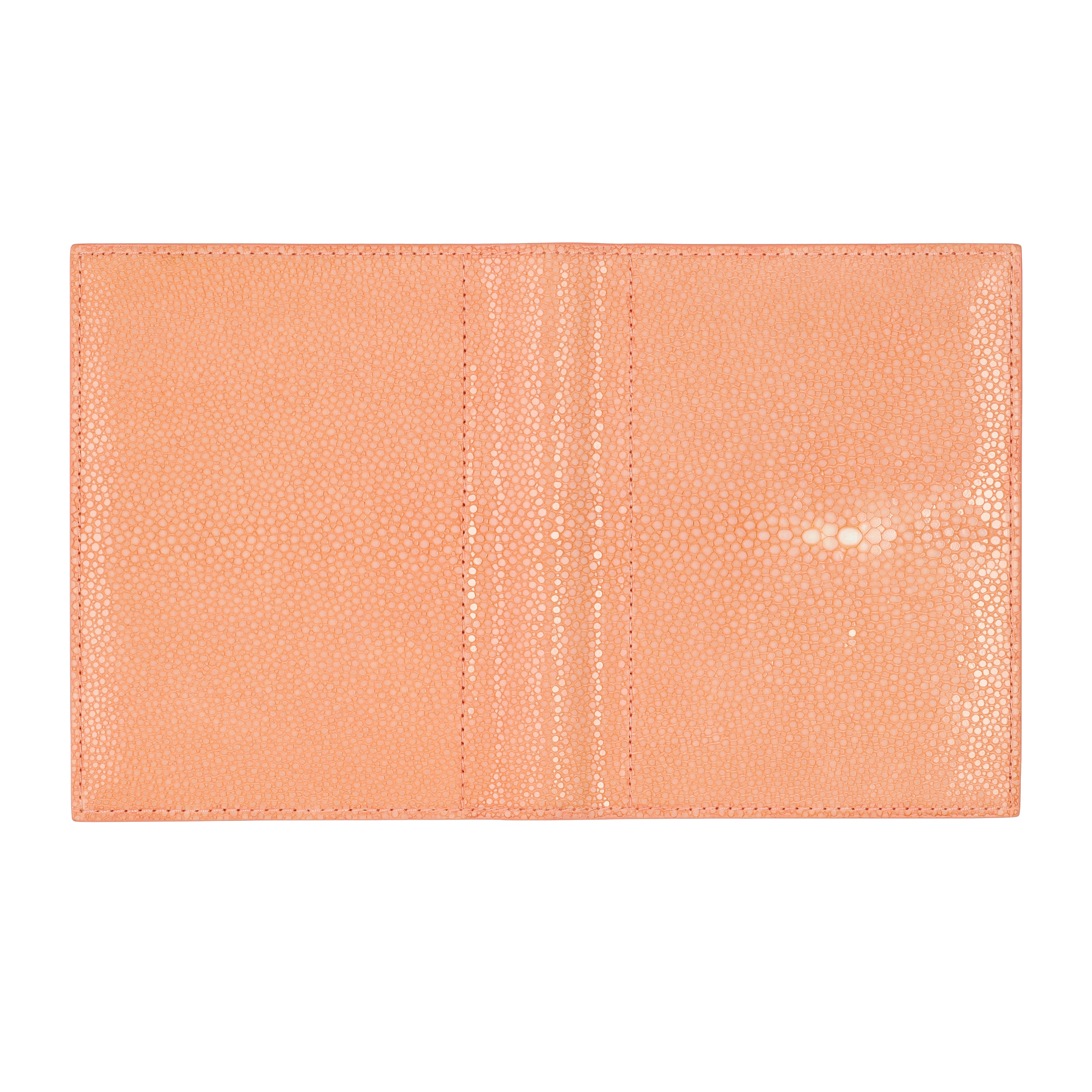 システム手帳 ヘリオス ミニ6 φ19mm（趣味文オリジナル）