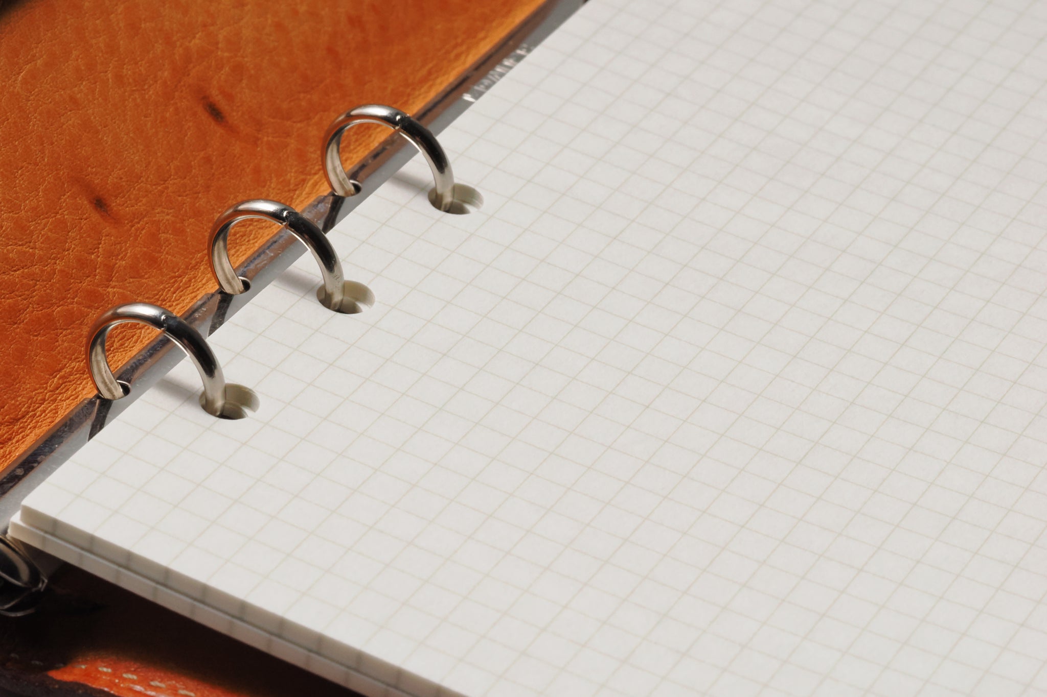 バンクペーパー バイブル 3.5mm方眼 50枚 | システム手帳パラダイス