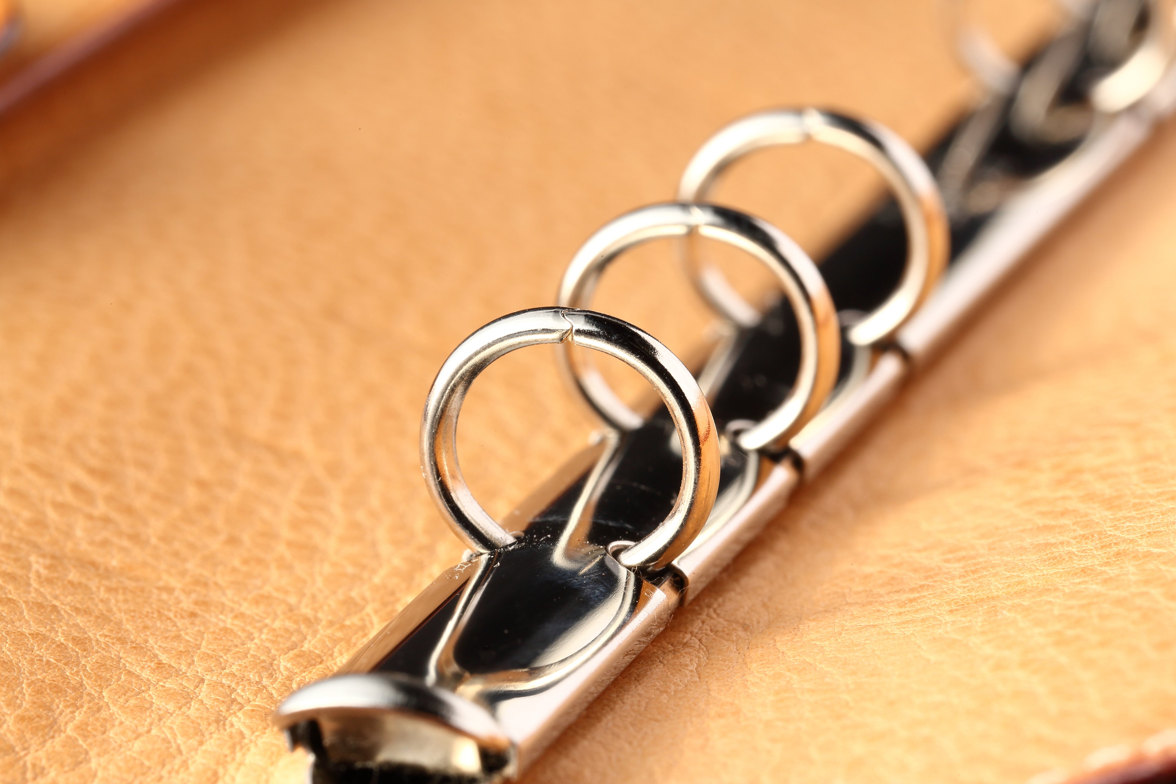 スリムバイブル福箱（シンブライドル グリーン）