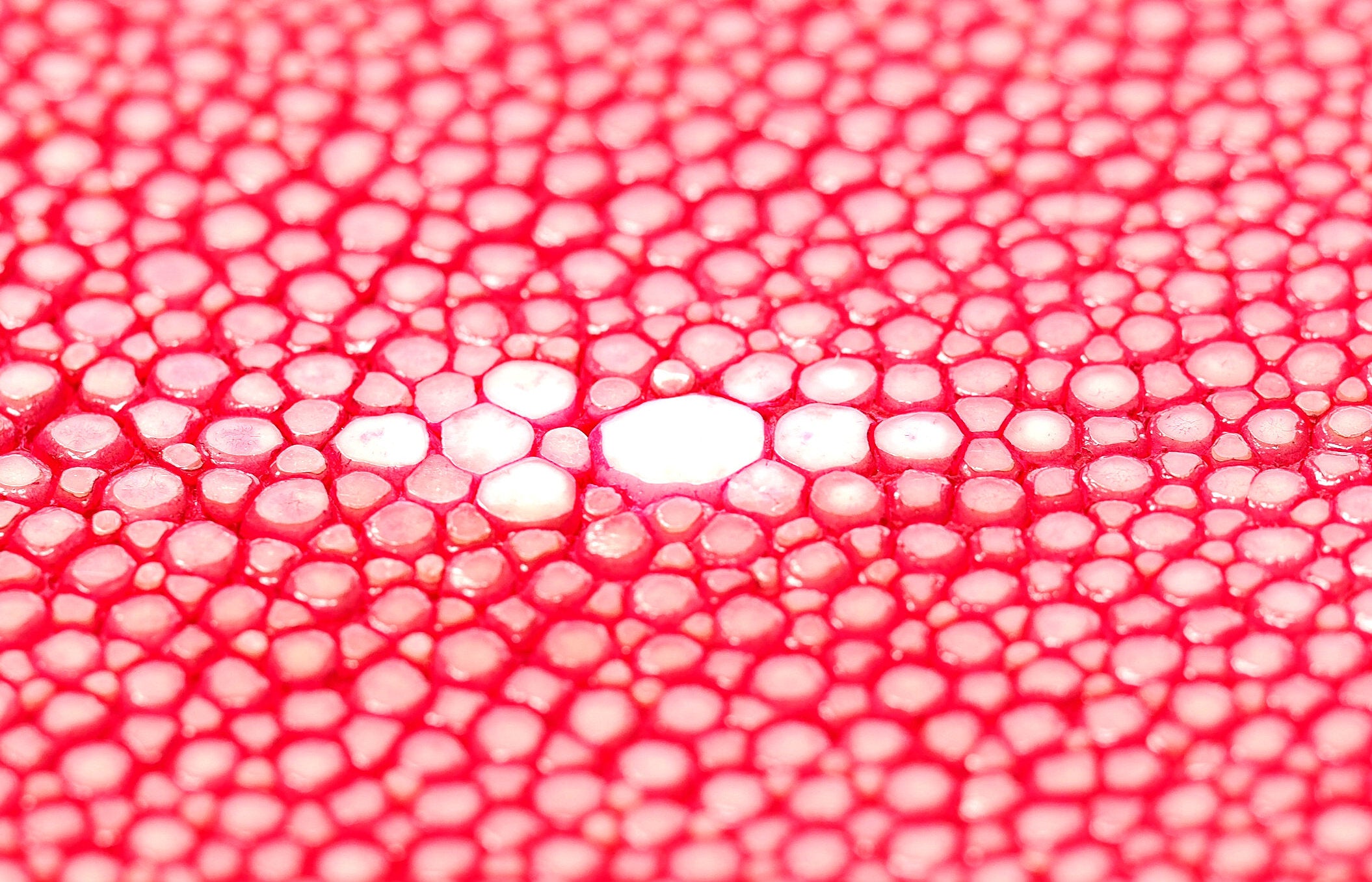 システム手帳 スパークラー2 M5 φ13mm（趣味文オリジナル）【5営業日以内出荷】